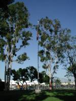 Kiwanisland Flagpole